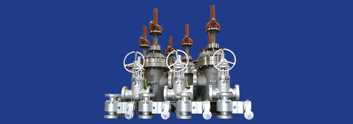 Compuerta Tipo Cuña