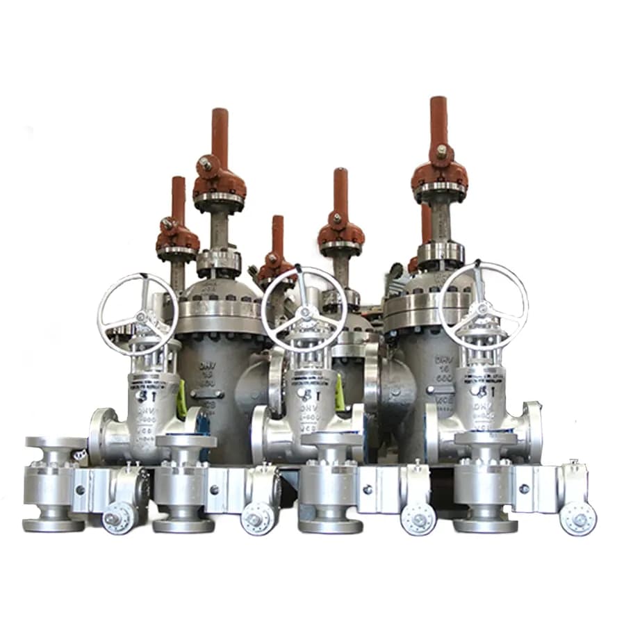 Compuerta Tipo Cuña