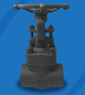 Valvulas de Compuerta Forjadas (API 602)